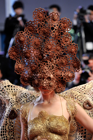 Illustration for article titled More Cannes Fashion: Gorgeous Gowns and Hideous Hooded Dresses